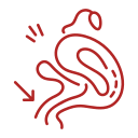 Gynaecology & Obstetrics