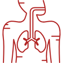 Pulmonology & Respiratory Medicine